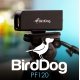 BIRDDOG PF120 - WORLD'S HIGHEST QUALITY NDI BLOCK CAMERA