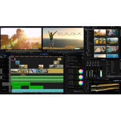 GRASS VALLEY  EDIUS X PRO - Professional Editing Software (Licentie Code)