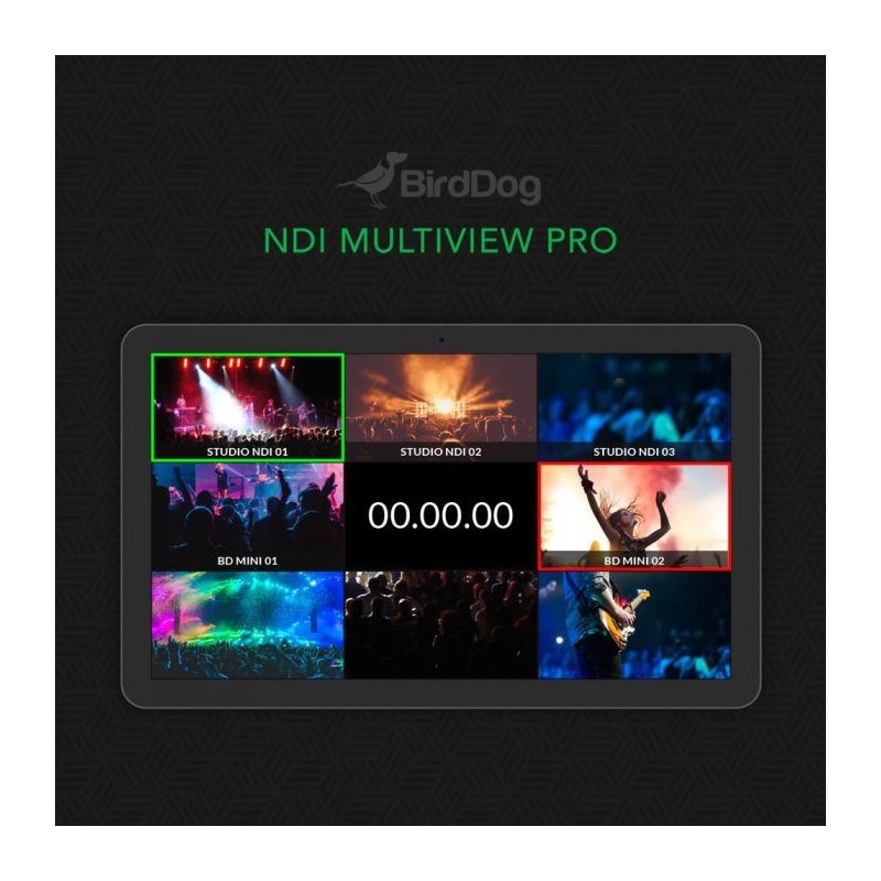 BirdDog Multiview Pro NDI - Create up to six 4x4 outputs